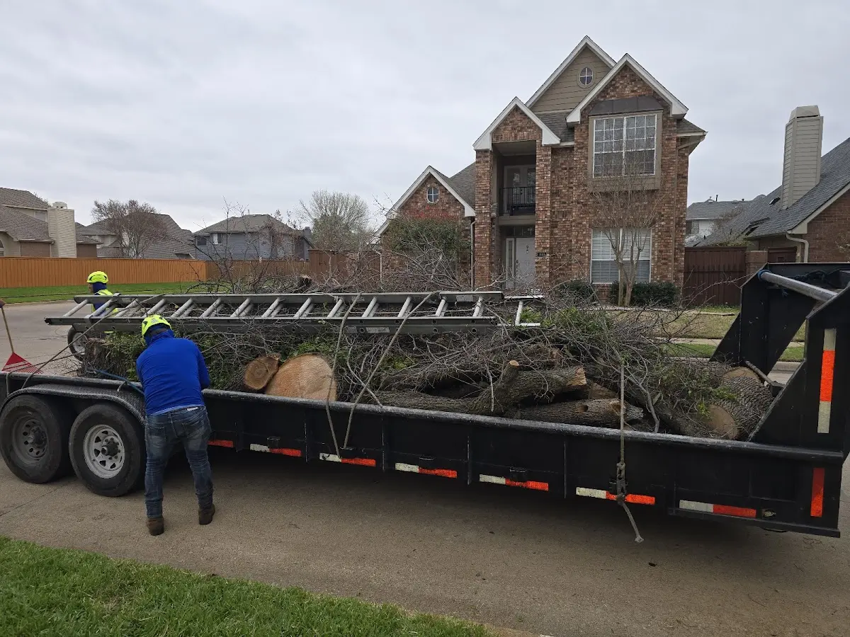 Expert Crown Reduction with proper safety equipment in Montgomery City